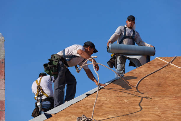 Quick and Trustworthy Emergency Roof Repair Services in Humboldt, TN